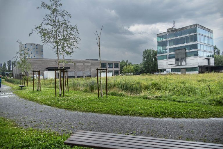 Freudenhaus: Heimweh nach Dornbirn