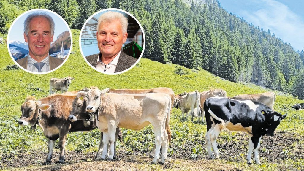 TBC: Bauern machen jetzt Druck auf den Landeshauptmann