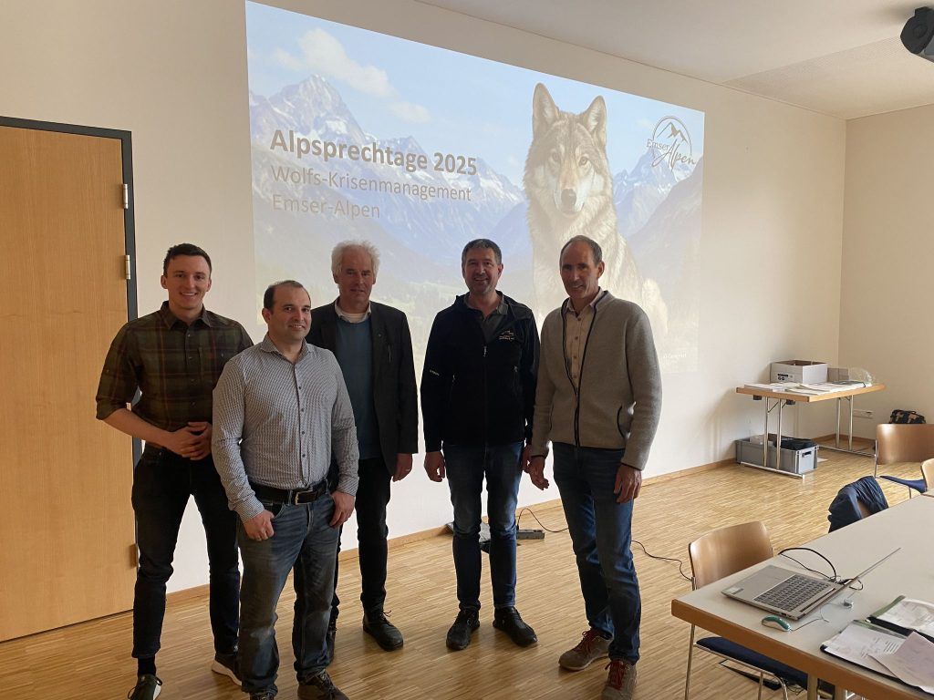 TBC und Wolf dominierten den Alpsprechtag im Bregenzerwald