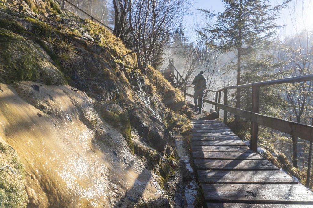 Wenn die Natur erwacht: Die schönsten Wandertipps für den Frühling