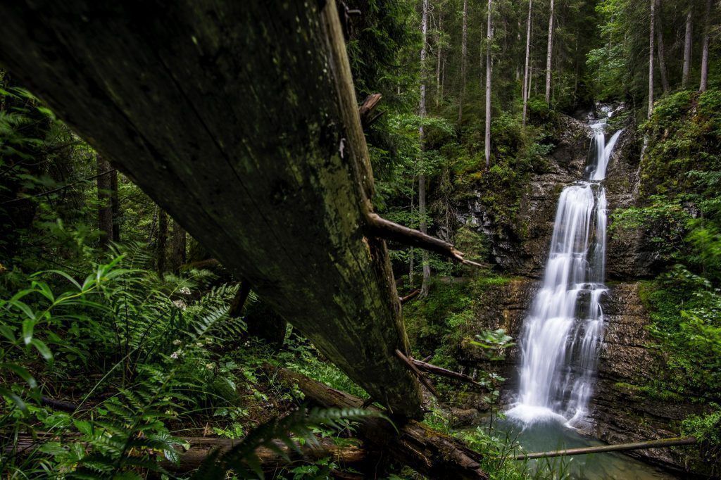 Wenn die Natur erwacht: Die schönsten Wandertipps für den Frühling