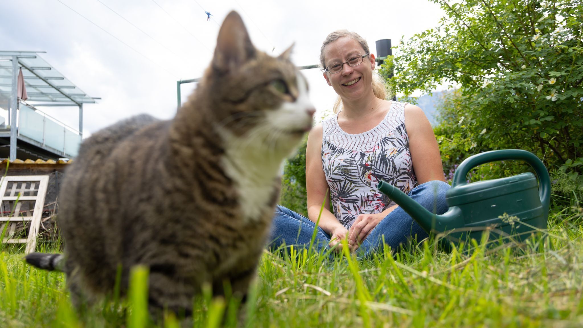 Tierbetreuung zu Hause: Der tierische Liebling in den besten Händen