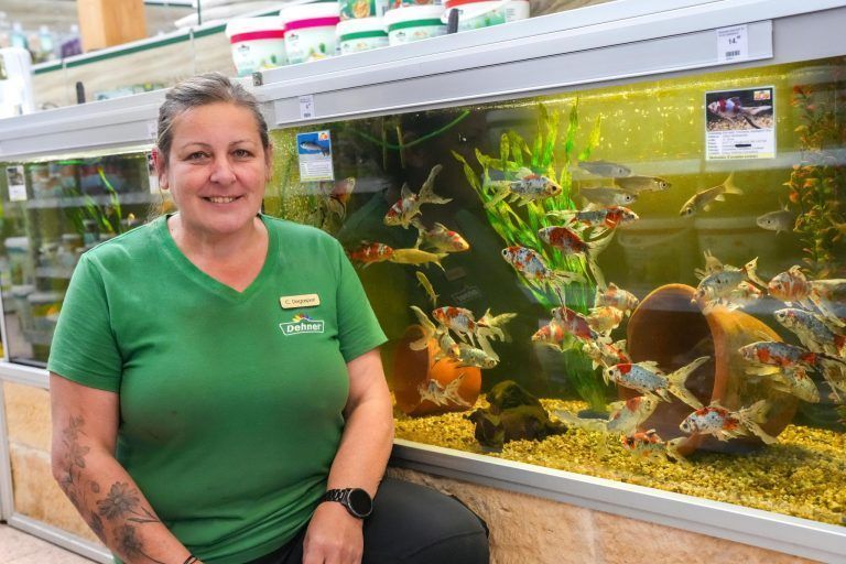 Tiere im Garten: So fühlen sich Hund, Katze, Fisch & Co. richtig wohl