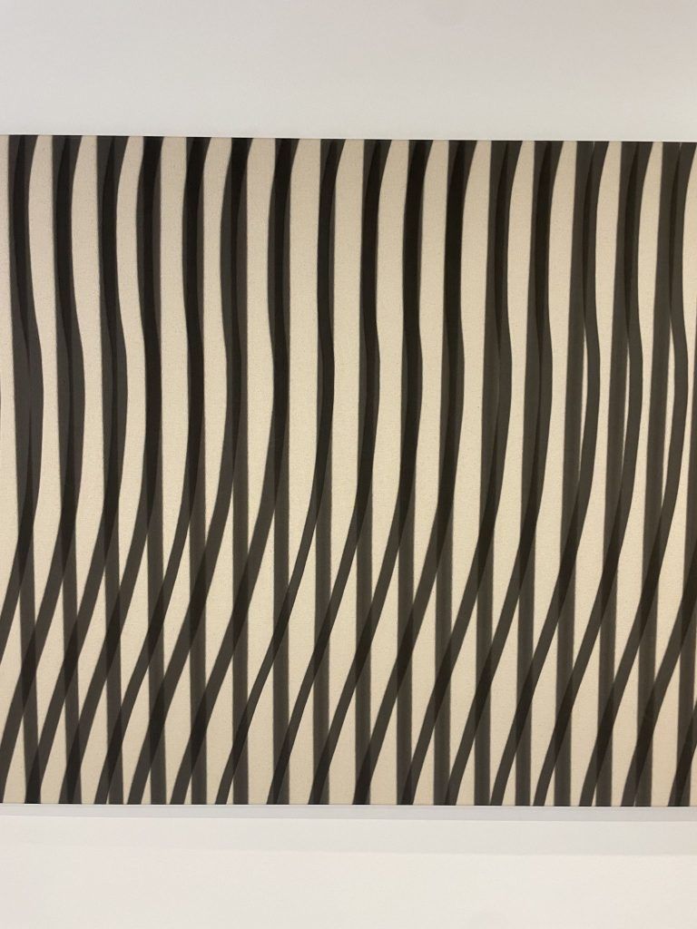 Fokus Galerie 9und20