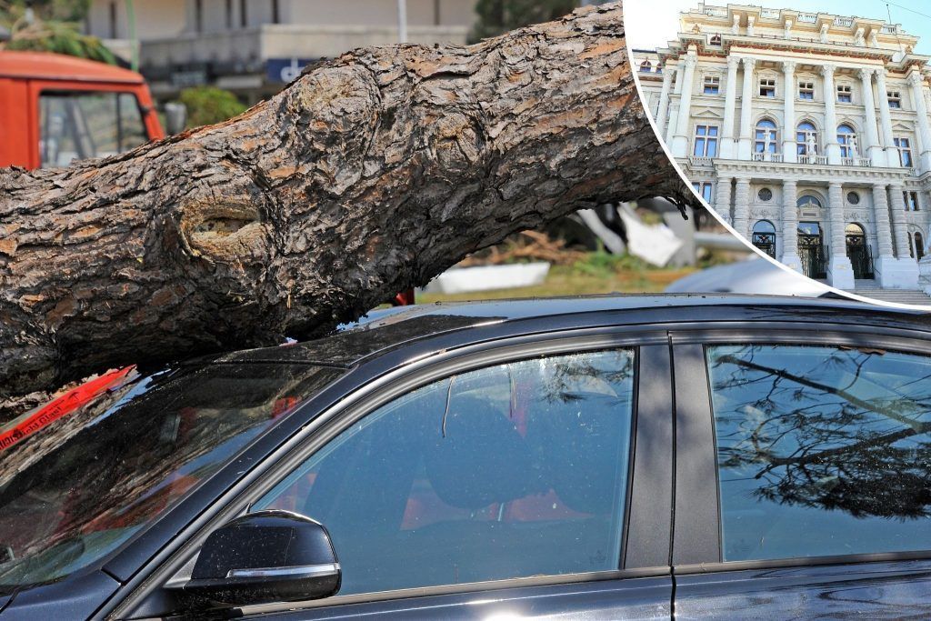 Baum stürzte auf Fahrzeug: Höchstgericht entschied, wer für den Schaden aufkommt