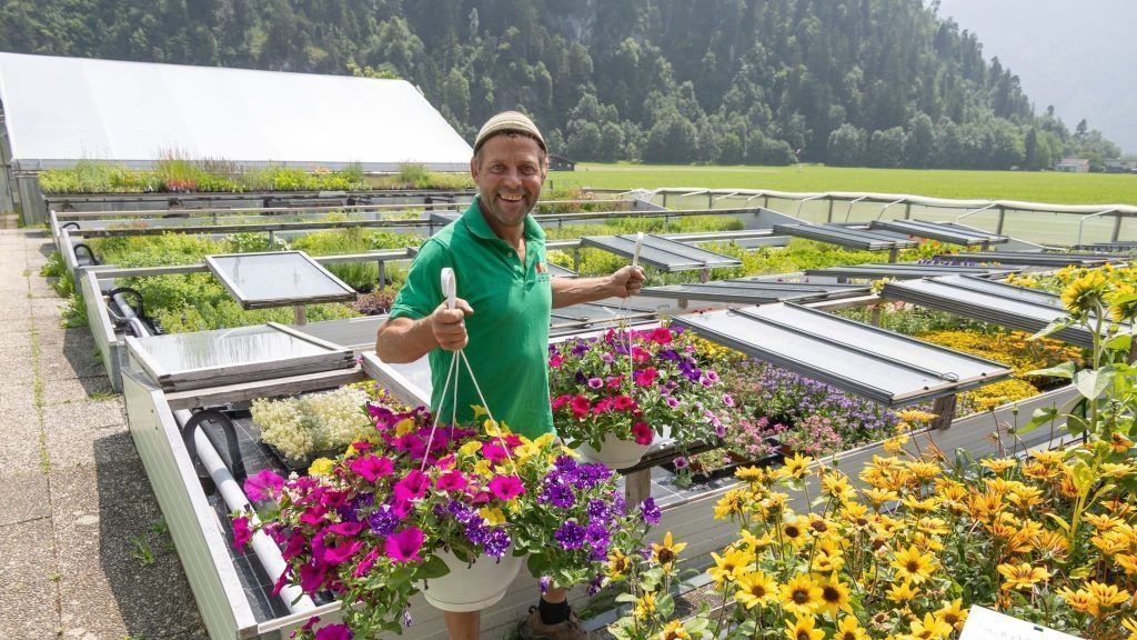 Bio-Gemüse erntefrisch direkt vom Feld