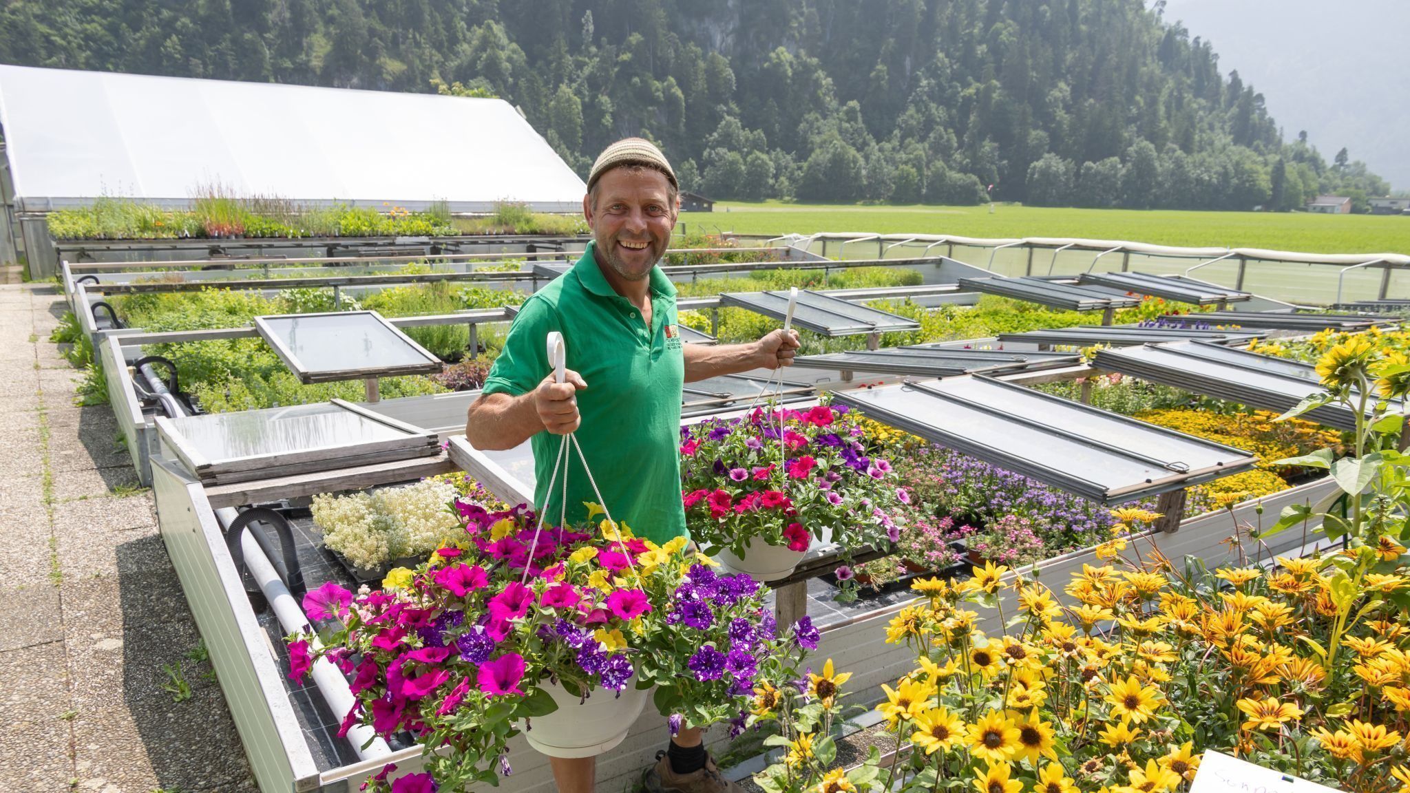 Bio-Gemüse erntefrisch direkt vom Feld