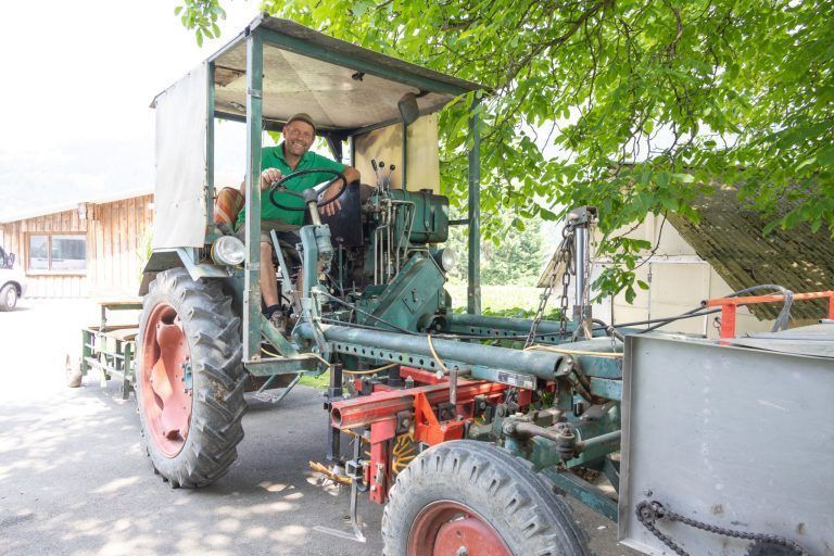 Bio-Gemüse erntefrisch direkt vom Feld