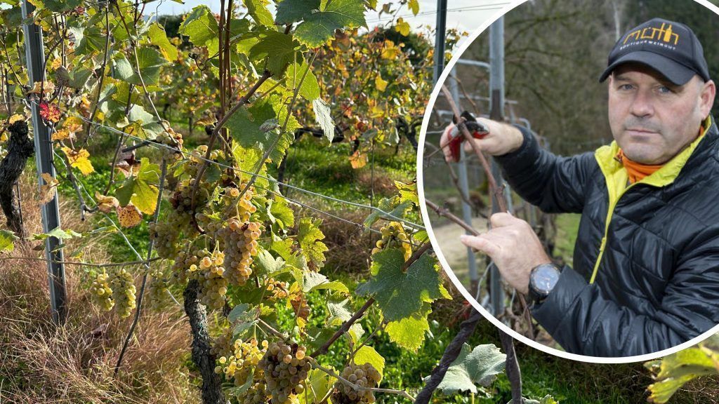 Josef Möth: &#8220;Ich bin kein Tierquäler!&#8221;