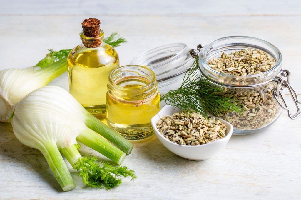Italien im Gemüsebeet: Der Fenchel