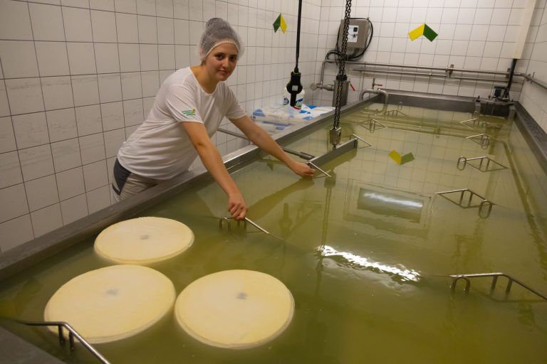 Mehr als Käse: Sennerin aus Leidenschaft