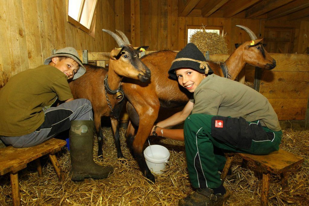 Ferientage im Bregenzerwald voller Spaß und Action