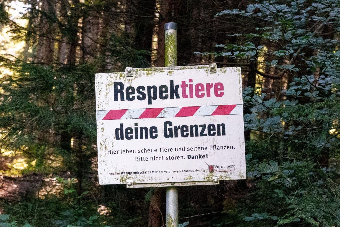 Verborgene Schätze, giftige Doppelgänger