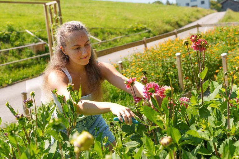 Wo im April noch eine Baustelle war, können jetzt Blumen gepflückt werden