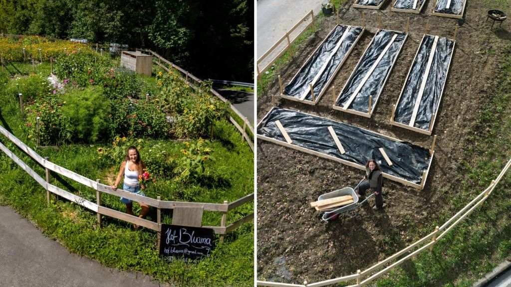 Wo im April noch eine Baustelle war, können jetzt Blumen gepflückt werden