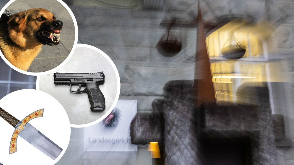 Hund biss Polizist, Frau drohte mit Schwert und Pistole