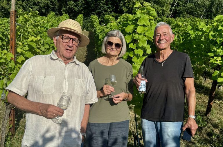 Dämmerschoppen Weinberg