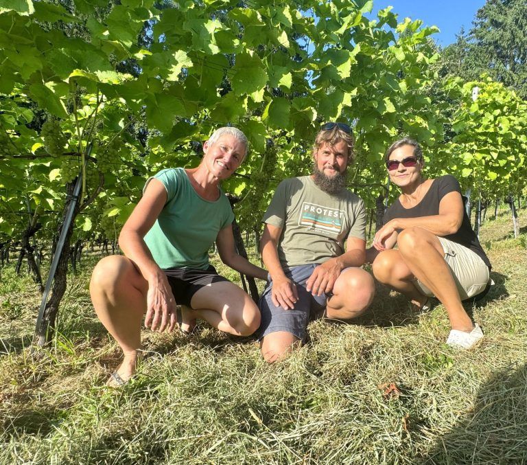 Dämmerschoppen Weinberg