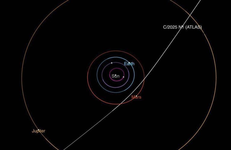 Interstellar Visitor