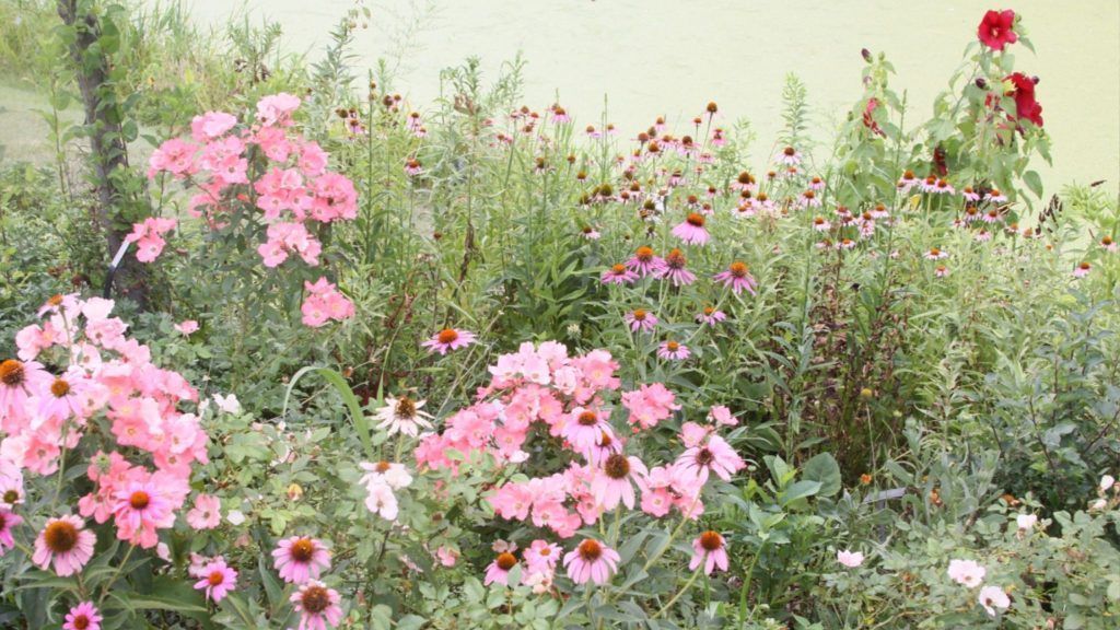 Die Weite der Prärie in den Garten holen