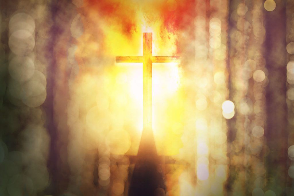 Evangeliumkommentar: Mir reicht&#8217;s!