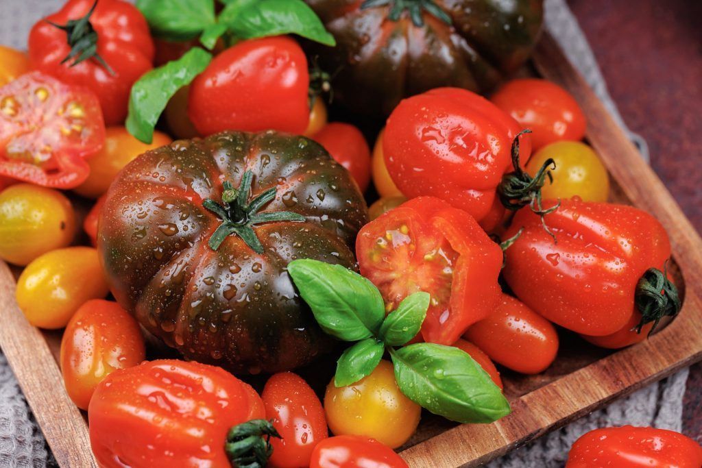 Als die Tomate nach Europa kam