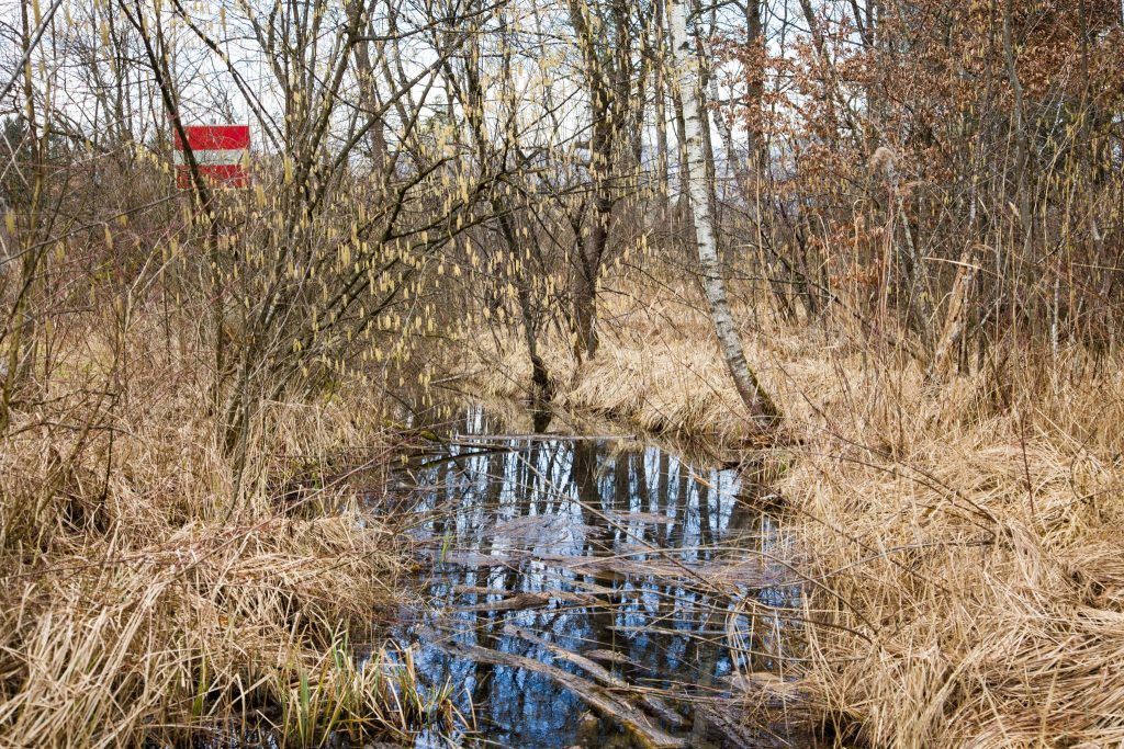 Herbstliche Exkursionen: Natur hautnah erleben bei den Natursafaris