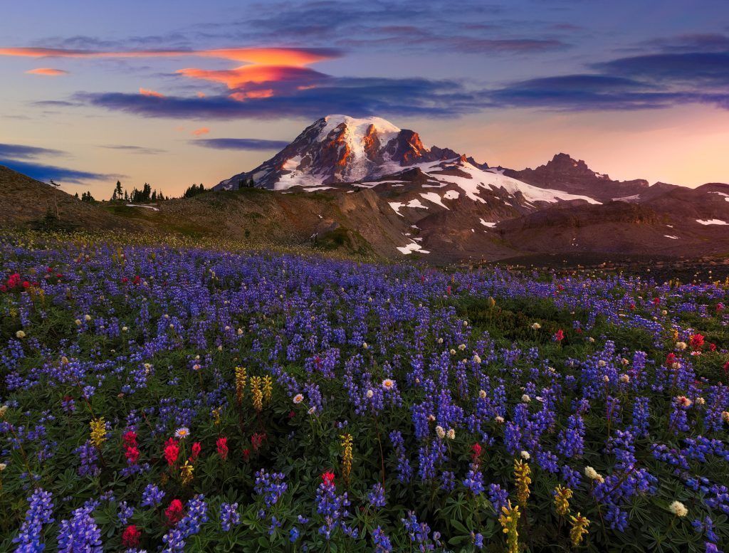 Die besten Fotos der Welt: Bildgewaltige Naturfotografie aus 100 Ländern