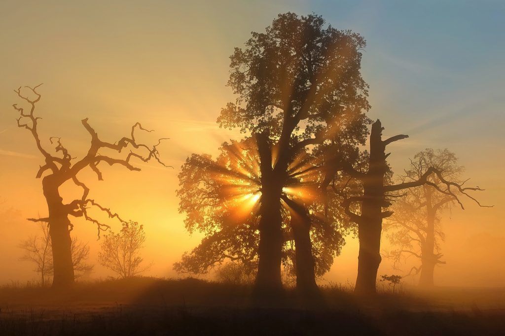 Die besten Fotos der Welt: Bildgewaltige Naturfotografie aus 100 Ländern