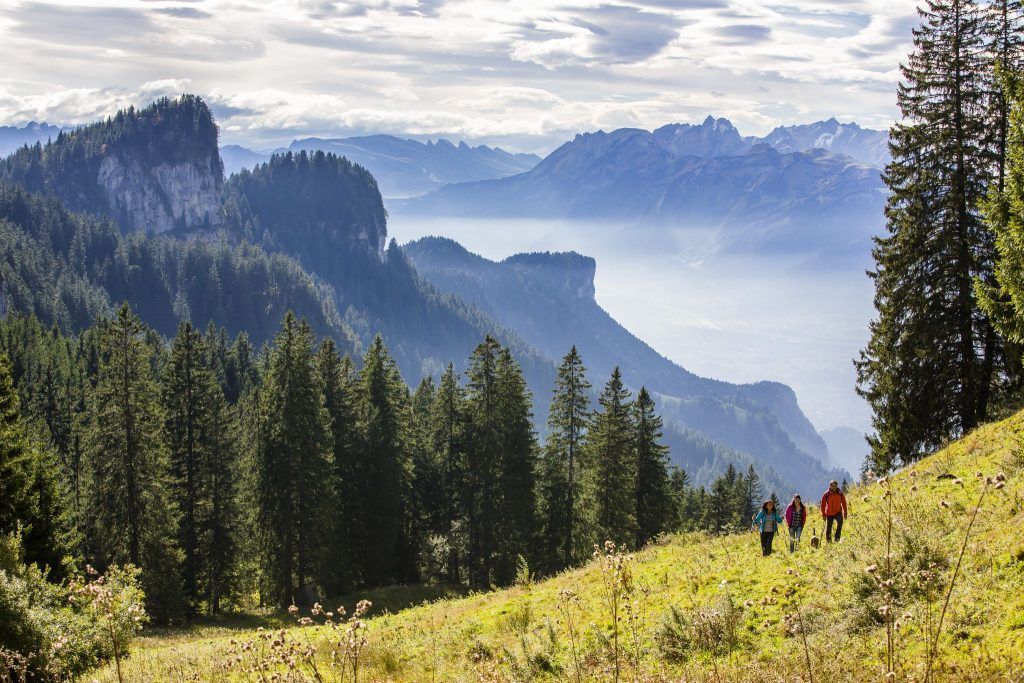 Herbstliche Exkursionen: Natur hautnah erleben bei den Natursafaris