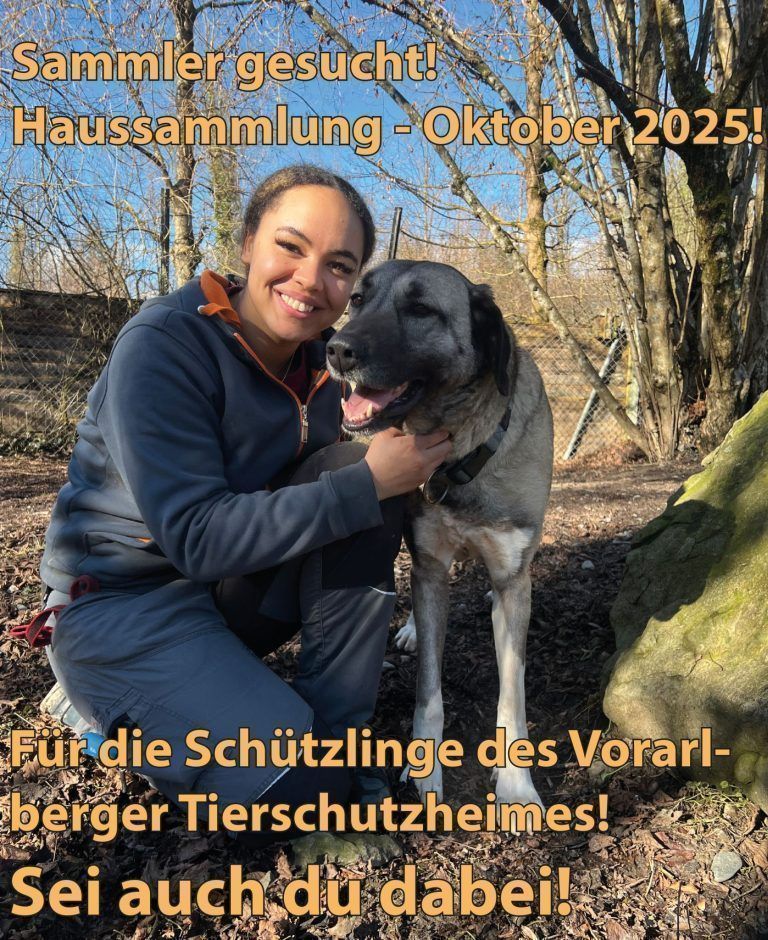 Tierecke, Tierschutzheim