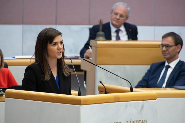 Mit Teppich und Zauberstab: Führerschein-Causa im Landtag diskutiert