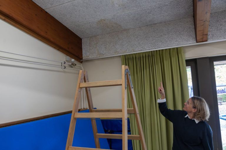 Marder-Plage in Dornbirner Kindergarten: "Habe Respekt, dass sich meine Mitarbeiterinnen das noch antun"