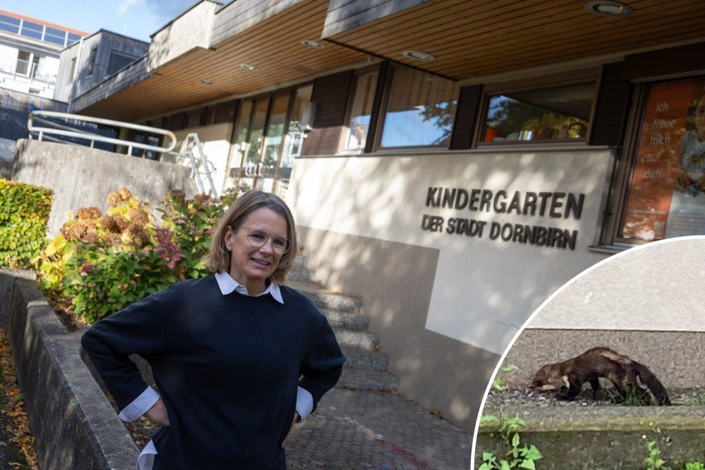 Marder-Plage in Dornbirner Kindergarten: &#8220;Habe Respekt, dass sich meine Mitarbeiterinnen das noch antun&#8221;