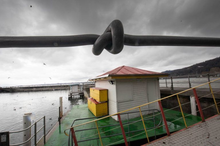 Hinter die sichtbaren Dinge blicken