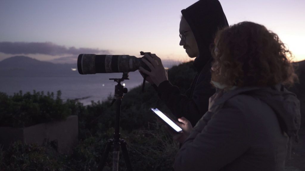 Vorarlberger Tierschützer liefern Satellitenbilder vom Horrorschiff