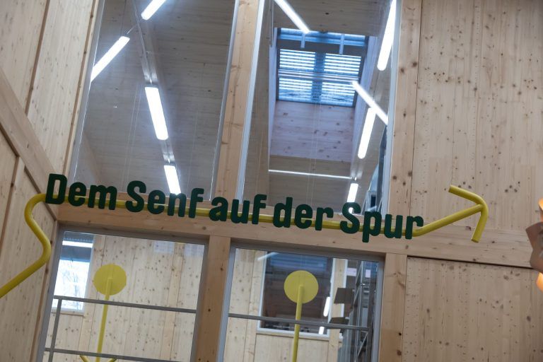 Nachhaltig gewürzt: Lustenauer Senf baut seine Zukunft