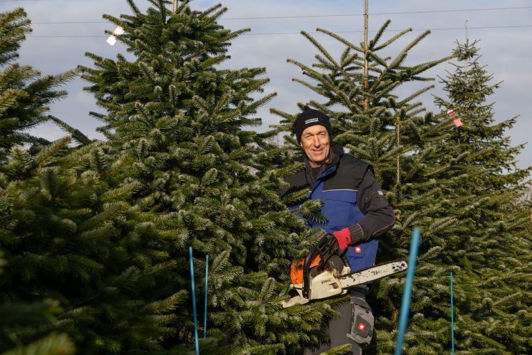 Vom Wald ins Wohnzimmer