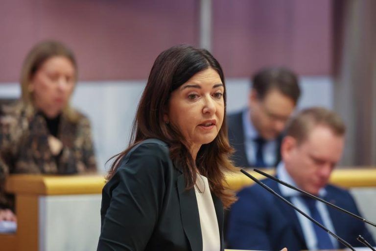 Landtag diskutiert zu Gewalt gegen Frauen: Starkes Zeichen und Unstimmigkeit um Nationalität von Tätern