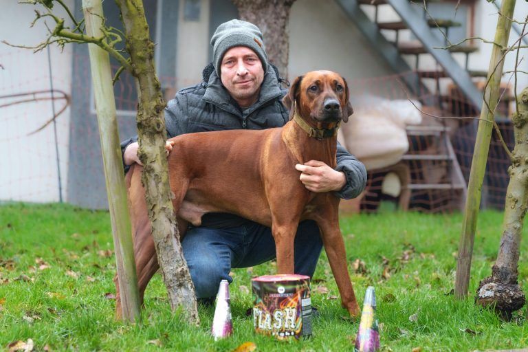 Wie verbringt man den Silvesterabend als Pyrotechniker mit Hund?
