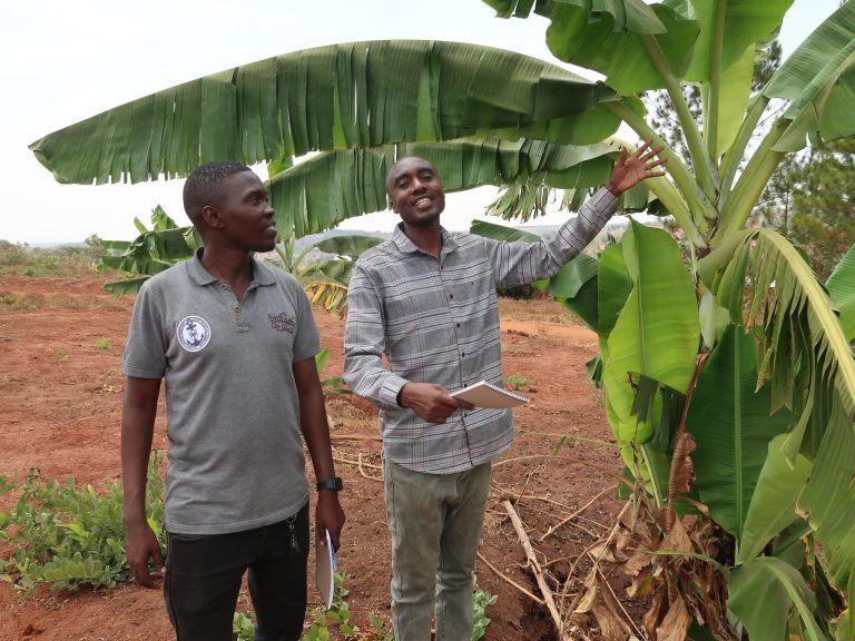 Drekönigsaktion-Tansania