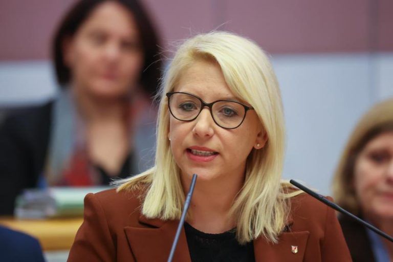 Landtag diskutiert zu Gewalt gegen Frauen: Starkes Zeichen und Unstimmigkeit um Nationalität von Tätern