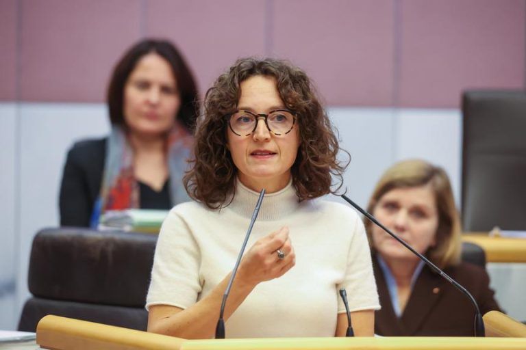 Landtag diskutiert zu Gewalt gegen Frauen: Starkes Zeichen und Unstimmigkeit um Nationalität von Tätern