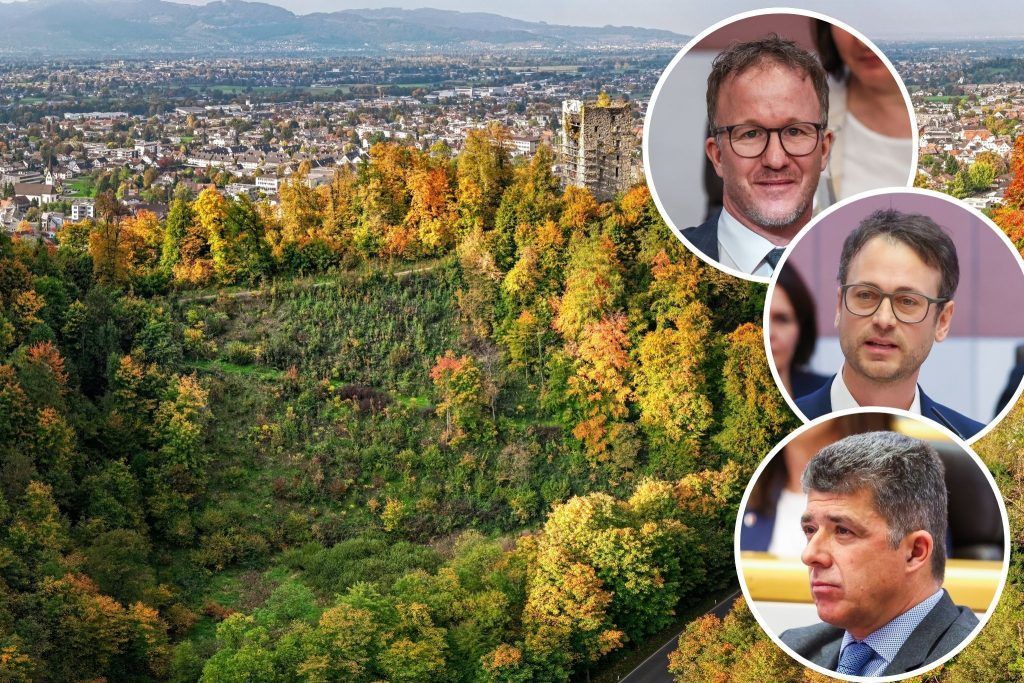 Nach Posse um &#8220;Jahrhundertwald&#8221;: Land schafft jetzt Klarheit bei Baumsorten