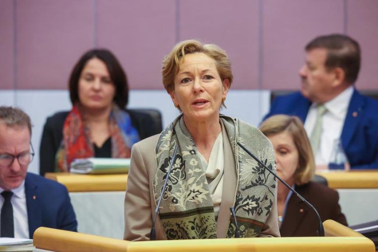 Landtag diskutiert zu Gewalt gegen Frauen: Starkes Zeichen und Unstimmigkeit um Nationalität von Tätern