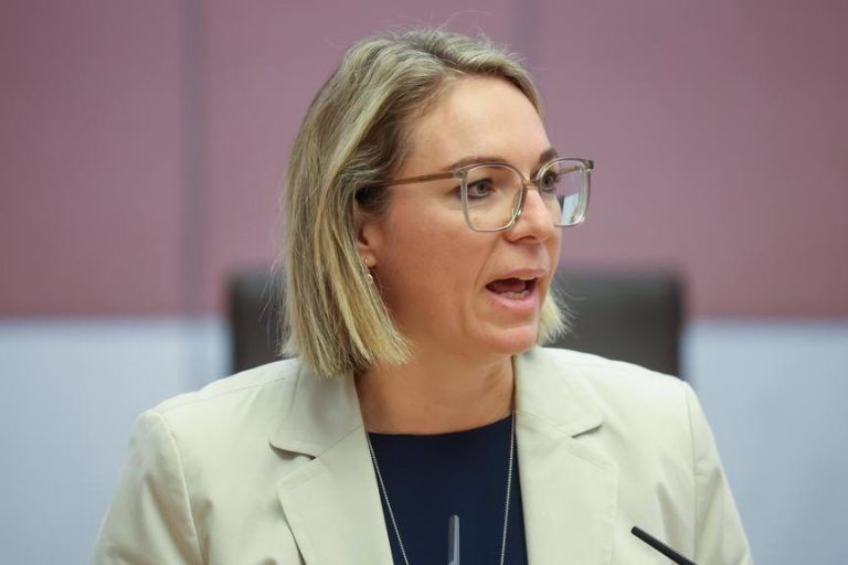 Landtag diskutiert zu Gewalt gegen Frauen: Starkes Zeichen und Unstimmigkeit um Nationalität von Tätern