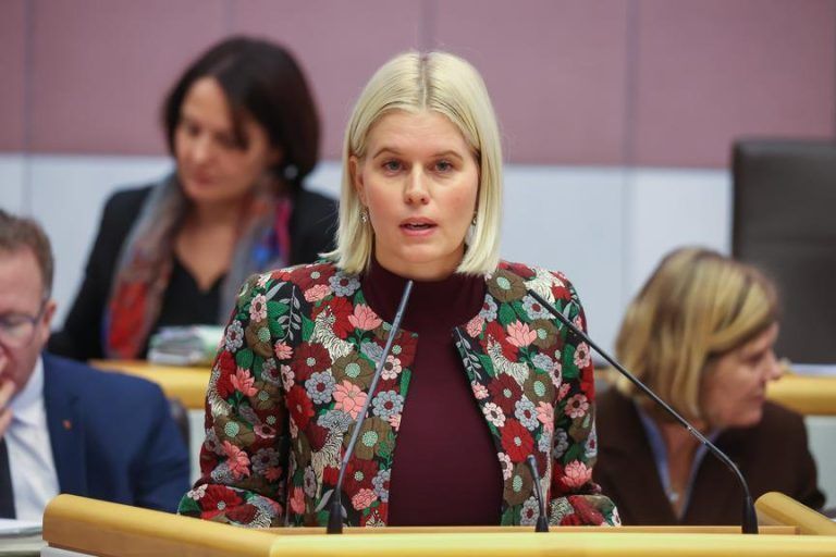 Landtag diskutiert zu Gewalt gegen Frauen: Starkes Zeichen und Unstimmigkeit um Nationalität von Tätern