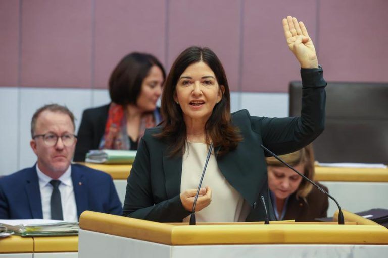 Landtag diskutiert zu Gewalt gegen Frauen: Starkes Zeichen und Unstimmigkeit um Nationalität von Tätern