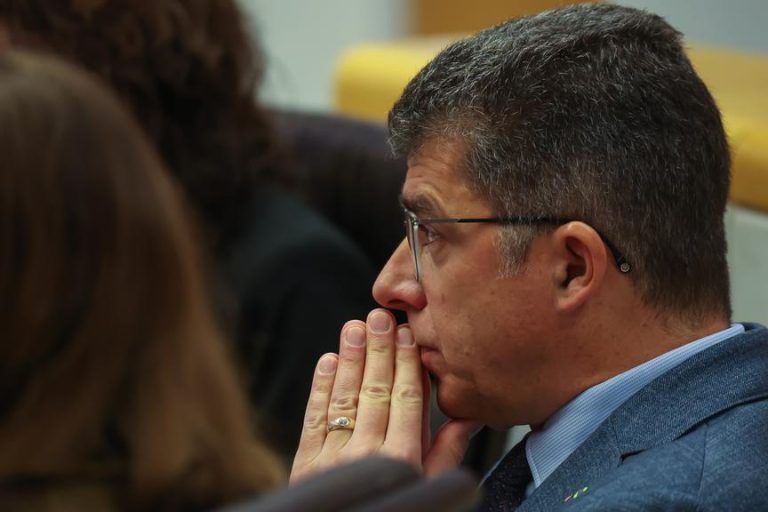 Nach Posse um "Jahrhundertwald": Land schafft jetzt Klarheit bei Baumsorten