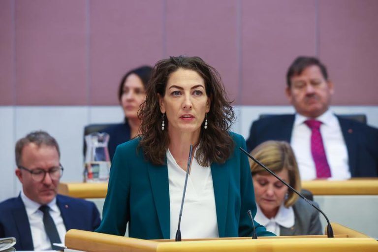 Debatte um Landesbudget: Zwischen "Mut zu Reformen" und "Blasphemie"